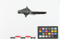 Foto von Bronzekahnfibel (NHMW-PRAE-023706)